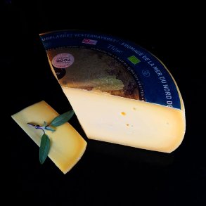 Grubelagret Vesterhavsost - Vinder af mejeribrugets Gourmetpris 21