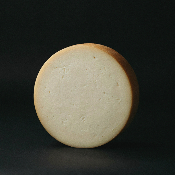Provolone